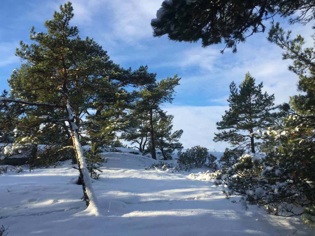 Villa Hogbo Inio Eksteriør billede